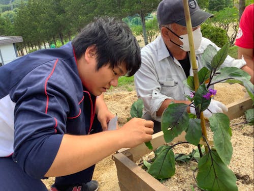 農家さんからご指導いただく農業体験