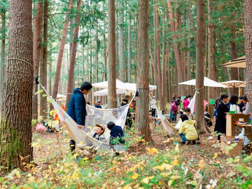 伊那に住むと森へも簡単にアクセスできます