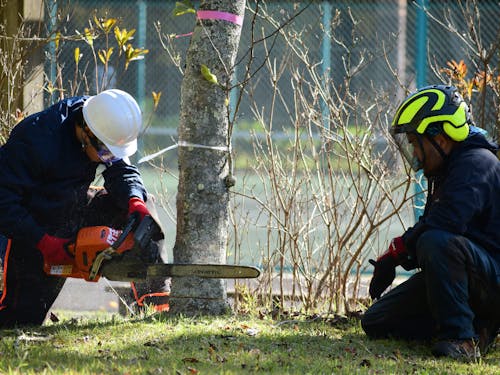 企画・運営した林業体験ツアーの様子