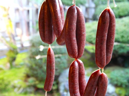 イノシシソーセージを地域の人と試作しています。