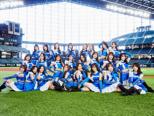 ファイターズガール