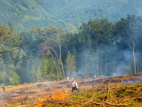 今も受け継がれる焼畑農法