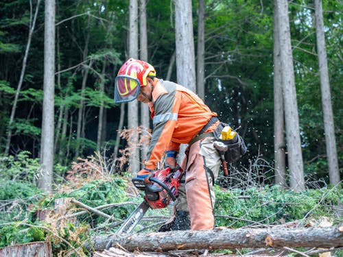 地元の自伐林家さんも担い手育成にご協力いただいています