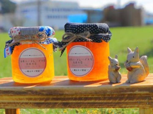 世界大会が毎年開催されている、マーマレードの聖地八幡浜からお届け!