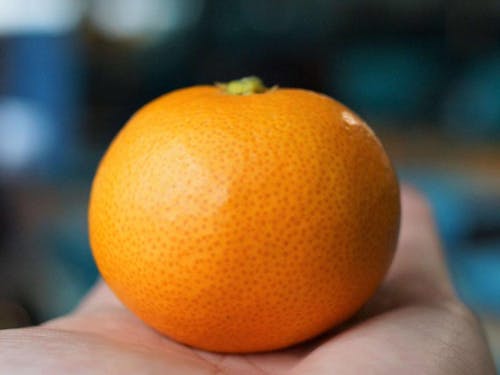 今年は生産量が少ないため、貴重な愛媛産みかん