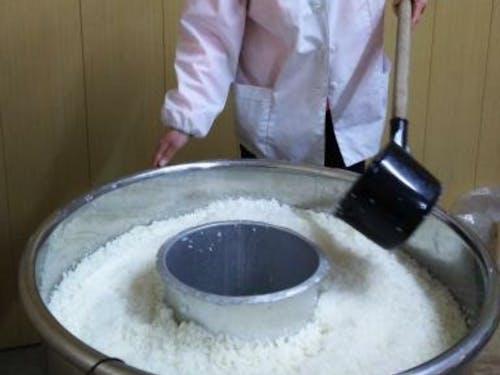 酒母(シュボ)づくりは、非常にデリケートな優良酵母の純粋培養の工程。