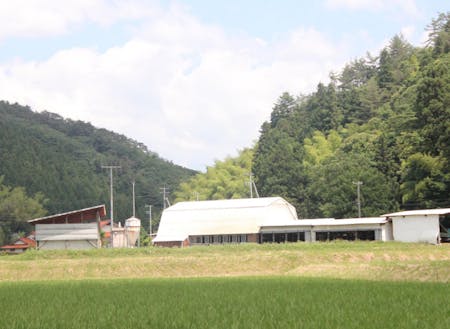 緑に囲まれた場所に位置する牛舎。