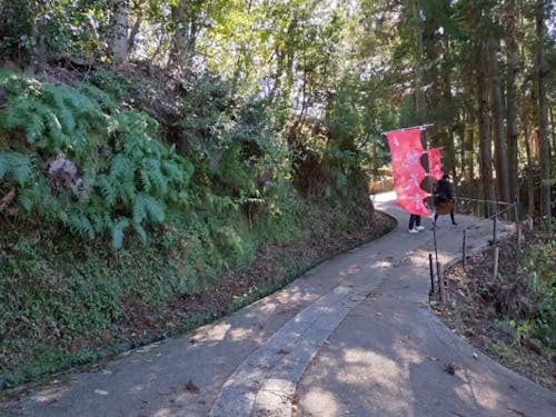 鶏足寺はまだかな?ちょっと上り坂