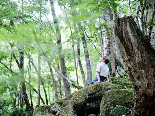 森林セラピーの様子