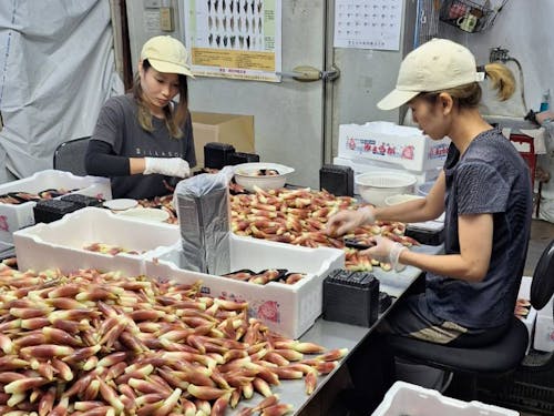 スタッフの皆さん