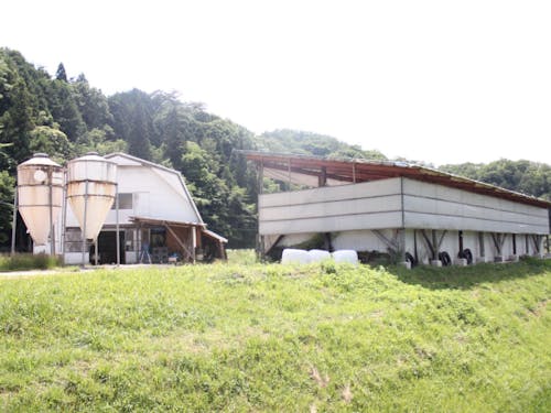 吉田牧場でお待ちしております。