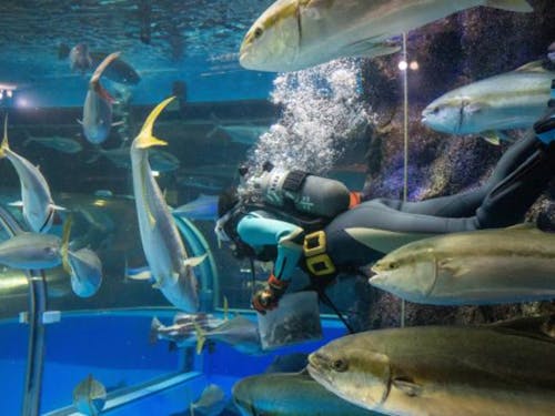 魚津水族館(魚津市)