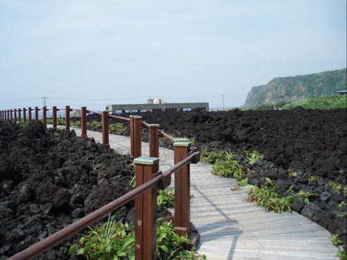火山体験遊歩道 ©︎三宅島観光協会