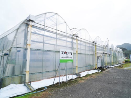 いちご栽培を学ぶハウスの様子(外観)