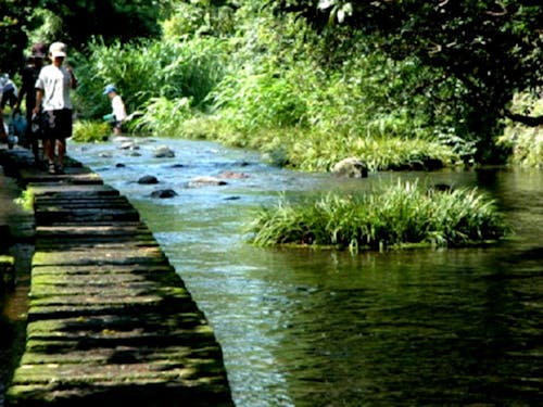 川の中に飛び石が続き、せせらぎの中を歩けます。