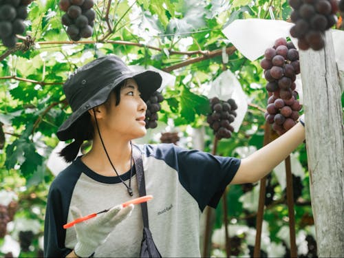 自分達で作る学びのカリキュラム