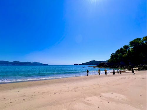 波板海岸。海岸は2つあります。