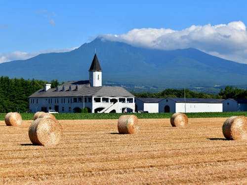 ジャガイモ焼酎工場と斜里岳