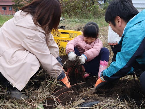 移住者交流会の様子。みんなでさつまいも掘り競争や