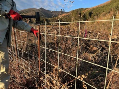 電気柵の設置