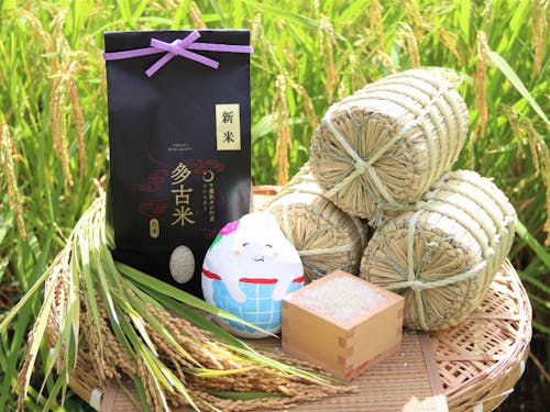 多古米と多古町のマスコットキャラクターのふっくらたまこさんです!