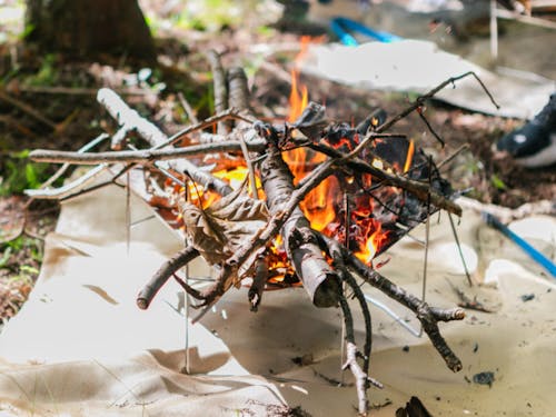 頑張ったあとは焚き火でまったり。