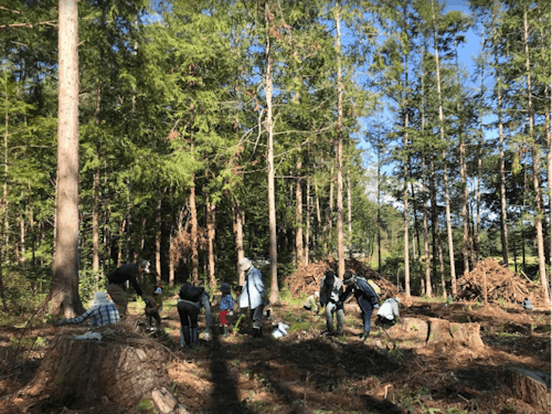 伊那市の面積の82%が森林🌳森での学びを加速させてください