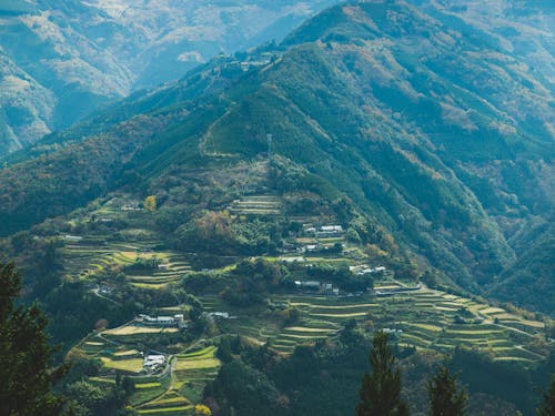 絶景「仙人の棚田」も耕作放棄地になる可能性が......