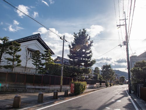 中山道五個荘付近。地元団体作成フライヤーを持って歩く人も多い