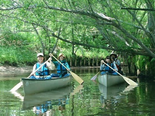 カヌー体験