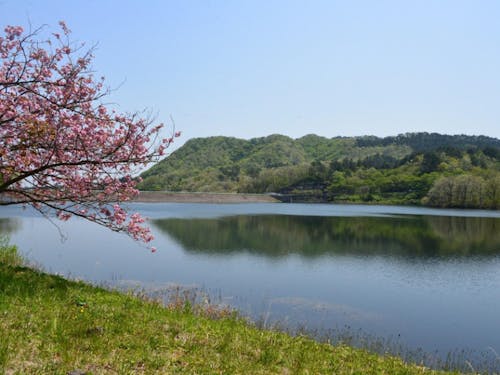 自然に囲まれた静かな環境でアウトドアを楽しめます。