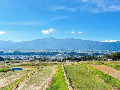 町の絶景スポット「福与展望台」からの景色♪