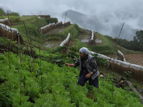 平地の少ない、山間部ならではの暮らし