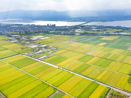 琵琶湖に続く田園風景も有しています