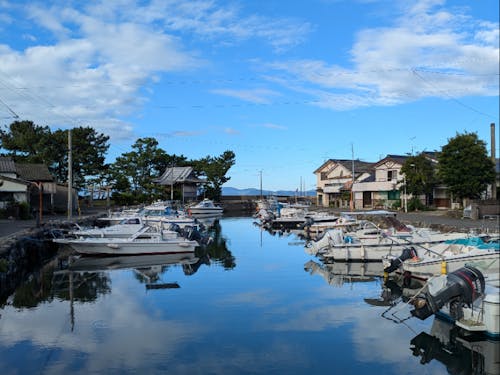 歴史的遺構になっている旧彼杵港。彼杵港もありますが釣り場としての活用が目立ちます。