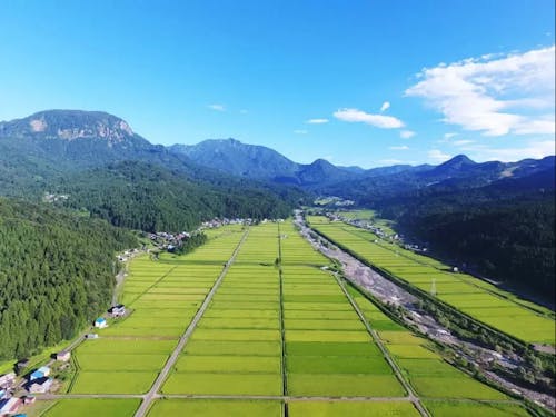 メープルシロップ収穫体験の拠点となる根知谷