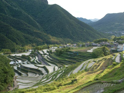 島の原風景 中山千枚田