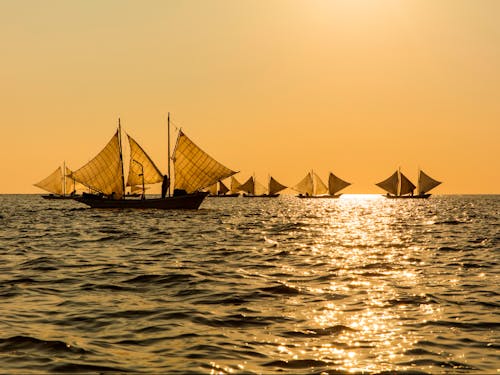 明治時代から続く伝統の打瀬舟漁。エサを使わずに風を推進力として北海シマエビを網で捕まえます。