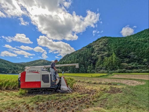 活動風景