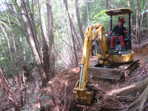 難波さん 施業中の様子