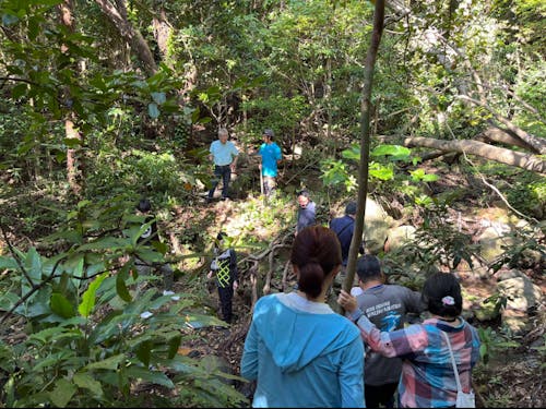 積極的に島の自然を体感してください!