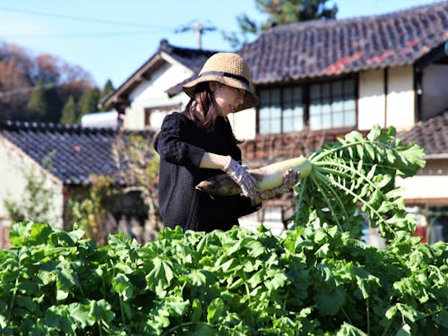 採れたて野菜で毎日満腹になる暮らしを実現