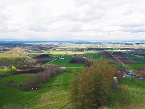 十勝平野が一望できる展望台があります。