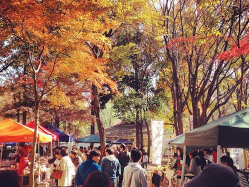 湖畔の森で催されるクラフトイベント「森コミいち」