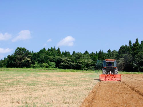 土地と環境を守ることを第一に、様々な作物を栽培しています。