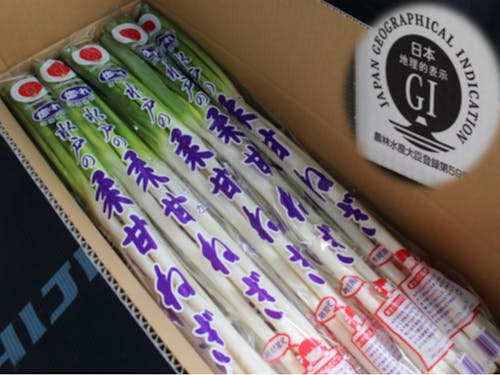 柔甘(やわらか)ねぎ