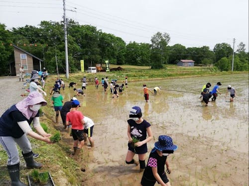地元との子どもたちとの田植え体験