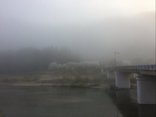 晴れた日は川一面に川霧がたちこめます