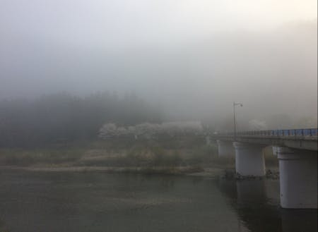 晴れた日は川一面に川霧がたちこめます