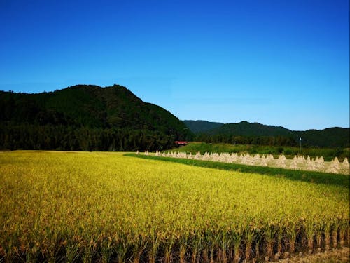 中土佐町の風景